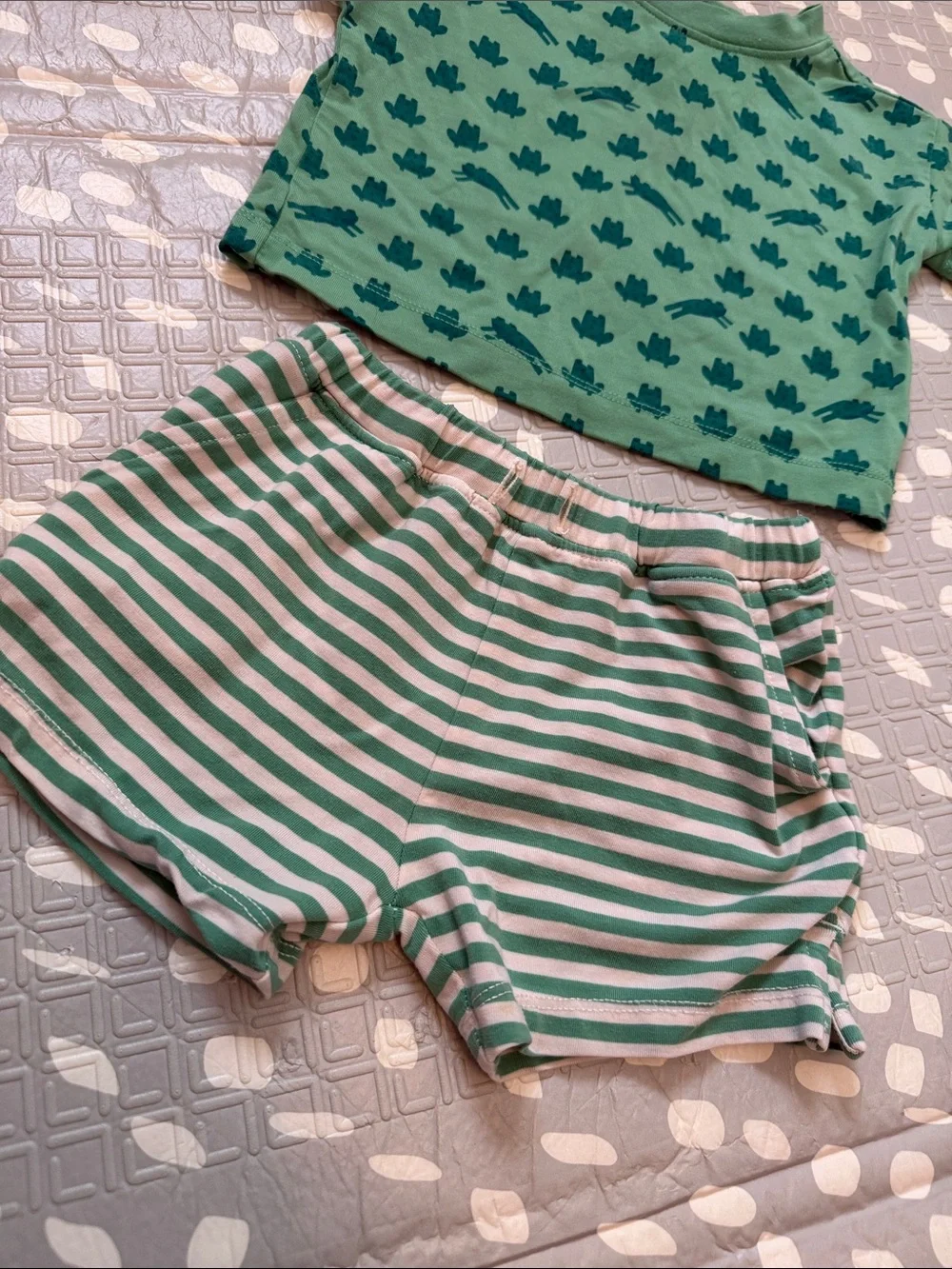Hanna Andersson Green Frog & Stripe Shorts Set